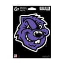 City Cuny Beavers Medium Die Cut Decal
