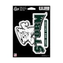 Lake Erie Storm Medium Die Cut Decal